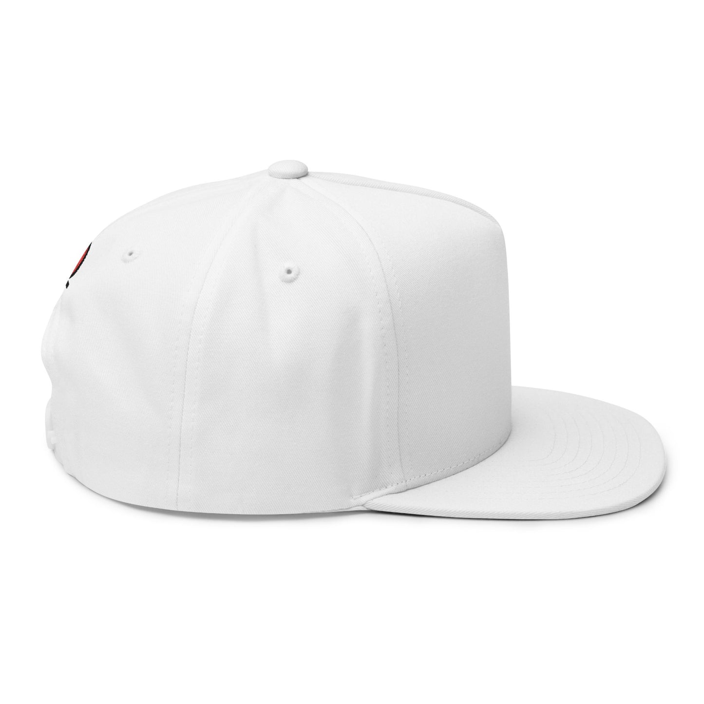 OGT Logo Flat Bill Cap
