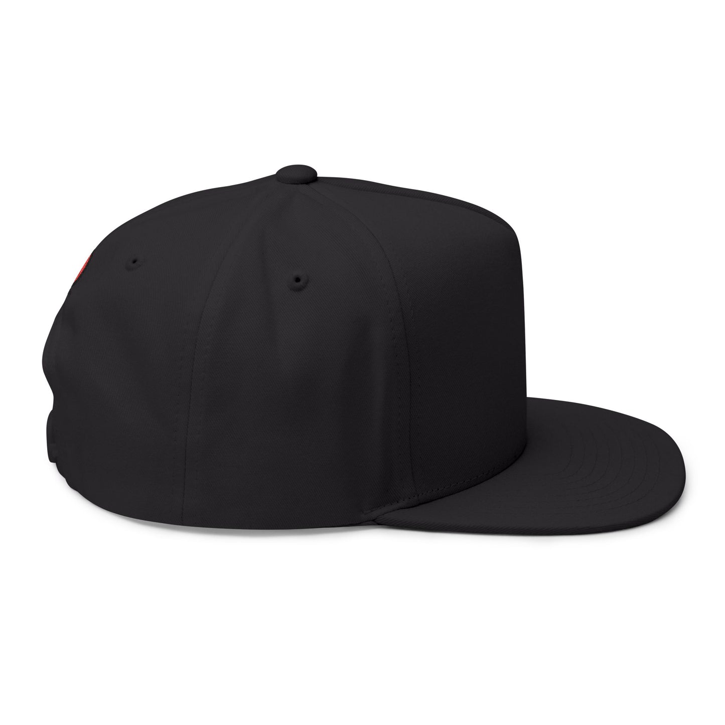 OGT Logo Flat Bill Cap